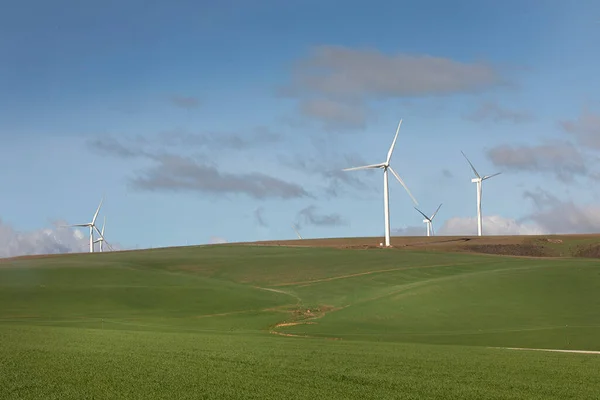 Turbinas Eólicas Generadoras Energía Campo Agrícola Sudáfrica — Foto de Stock