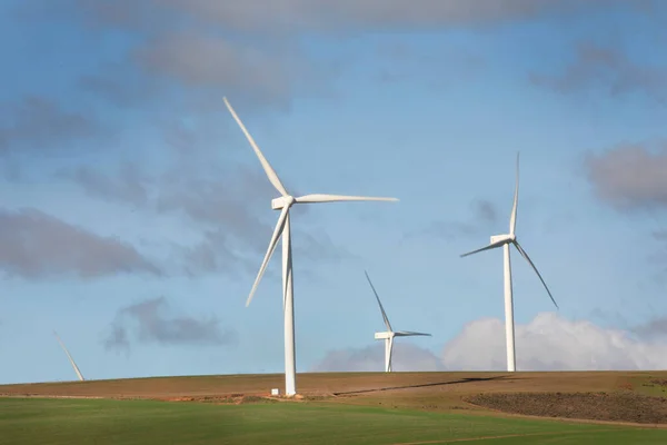 Turbinas Eólicas Generadoras Energía Campo Agrícola Sudáfrica — Foto de Stock