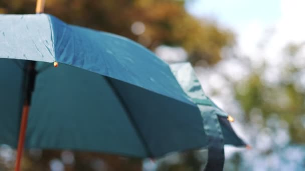 Segurando Guarda Chuva Azul Câmera Lenta 60Fps — Vídeo de Stock