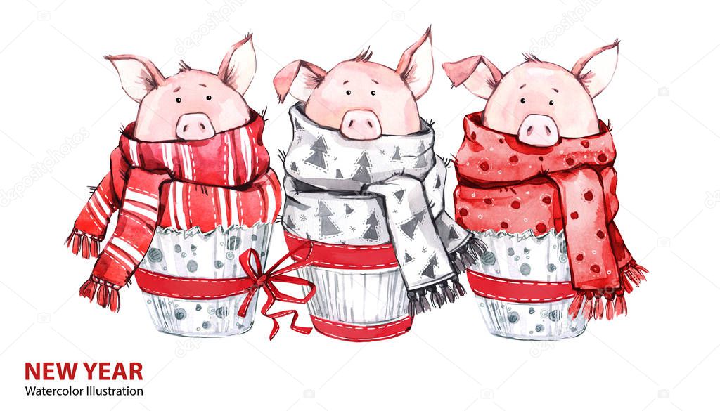 2019 Happy New Year illustration. Christmas border. 3 Cute pigs in winter scarves. Greeting watercolor cakes. Symbol of winter holidays. Zodiac sign. Perfect for calendar and card