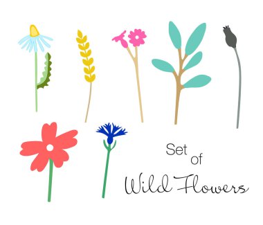 Renkli kır çiçekleri kümesi. El çekilmiş haşhaş, papatya, çan, peygamber çiçeği, buğday ve ağaç dal. Vektör çizim.