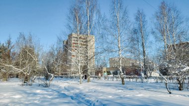 Koryazhma, Rusya - 2024-02-15 - Güneşli bir kış gününde karla kaplı bir parkın içinden bir panel binaya bakmak