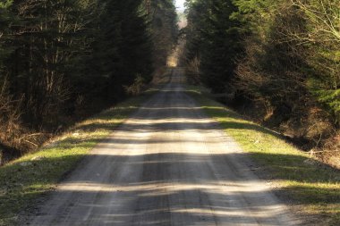 Yeşil orman Hiking trail yolunda. İ, Roztochia bölgesi, Polonya bulunan