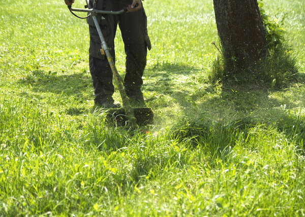 Человек, стригущий зеленую дикую траву с помощью косилки или газонокосилки. Постричь траву триммером. Тример стрижет газон. Уход за газоном
.