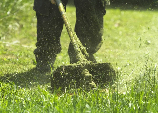 Homme Tondre Champ Herbe Sauvage Verte Aide Une Tondeuse Brosse — Photo