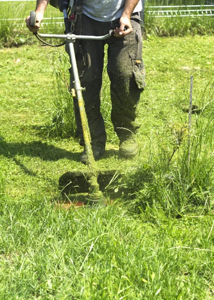 Fırça kesici biçme makinesi veya güç aracı dize çim makası kullanarak adam yeşil biçme yabani ot bu alanın. Düzeltici ile bir çim biçmek için. Trimer bir çim mows. Bir çim bakımı.
