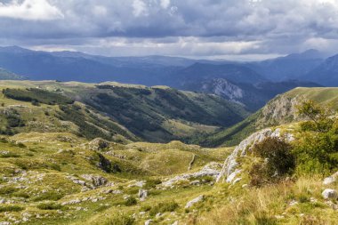 Taze ot ve güzel tepeler güzel manzara Karadağ. Durmitor Milli Parkı Karadağ bölümünde dinar Alplerinin ortasından geçiyordu. Durmitor Park, Unesco Dünya Mirası kullanıma geçiş 1980, park uyku anlamına gelir.