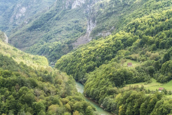 Tara Kanyon, Karadağ. İkinci Büyük Kanyon, ABD sonra dünyanın en derin kanyon