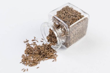 İzole üzerinde beyaz zemin Kimyon tohumu bir cam kavanoz.