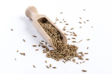 Kimyon ahşap Kepçe beyaz arka plan üzerinde izole içinde. Portre.