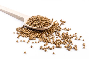 Tahta kaşık beyaz arka plan üzerinde izole kişniş tohumu.