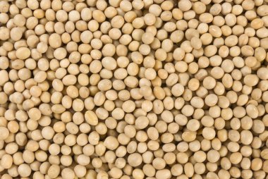 soya fasulyesi doku arka plan. beslenme. Gıda İçerikler.