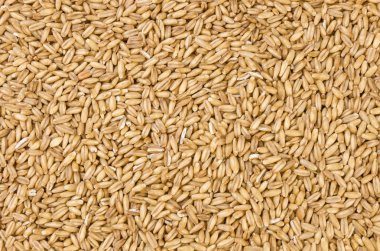 Yulaf dokusu arka plan. Beslenme. Biyo. doğal gıda madde.