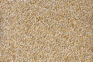 ince zemin arpa doku arka plan. Beslenme. Biyo. doğal gıda maddesi.