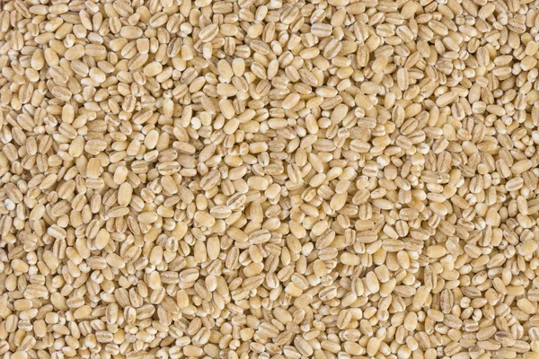 pearl barley texture background. nutrition. bio. natural food ingredient.