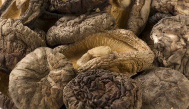 kurutulmuş Shitake mantar arka plan. gıda maddesi.