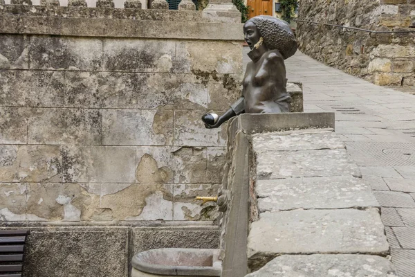 Chianti 'deki eski ortaçağ köyü Castellina' da sokakta. Çeşme.