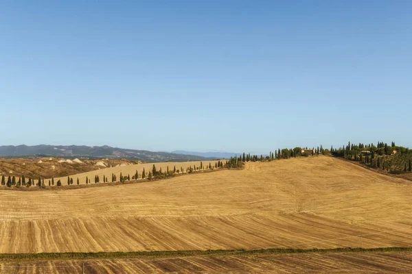 Paisagens Típicas Província Siena Toscana Itália Colinas Cipreste Campos Arados — Fotografia de Stock