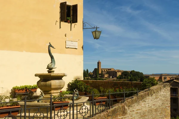 Fontaine Rue Fontanina Della Contrada Capitana Dell Onda Forme Poisson — Photo