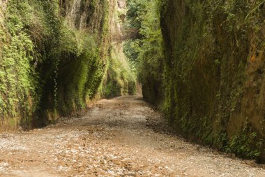 Etrüsk Via Cava, antik nekropolü birbirine bağlayan tuff kayasını kazan uzun hendeklerden biri