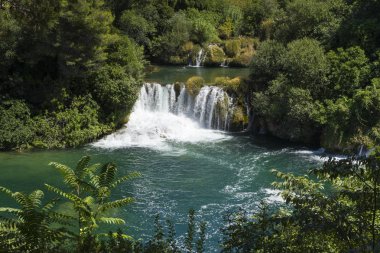 Milli Park Krka, Hırvatistan. Güzel sıcak yaz günü.