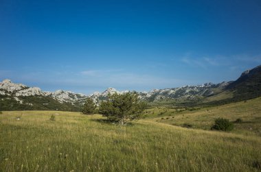 Yürüyüş Paklenica Velebit dağ Hırvatistan Avrupa. Sıcak yaz günü. Güzel doğa ve manzara.