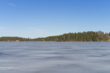 Güneşli bahar günü İsveç İskandinavya Avrupa'nın güzel doğa ve manzara fotoğraf. Buz Gölü, ağaçlar ve mavi gökyüzü güzel açık havada resim