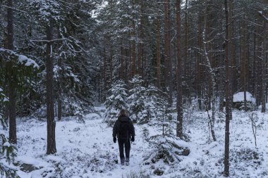 Açık havada kış İsveç ormanda yürüyen adam
