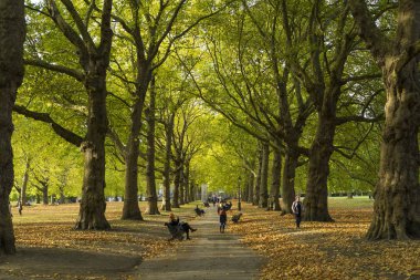 Green Park Londra İngiltere, 16 Ekim 2017. İnsanlar güzel sonbahar günü parkta yürürken, insanlar