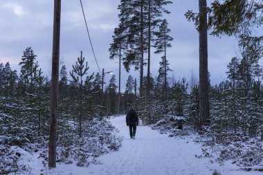 Açık havada kış İsveç ormanda yürüyen adam