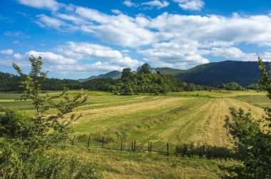 Yürüyüş Paklenica Velebit dağ Hırvatistan Avrupa. Sıcak yaz günü. Güzel doğa ve manzara.