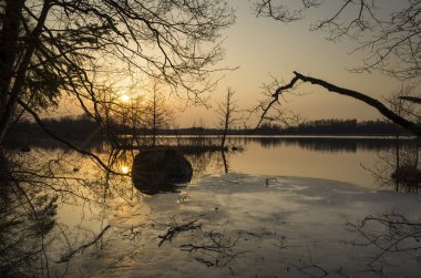 Bahar akşam İsveç İskandinavya Avrupa'nın renkli günbatımı güzel doğa ve manzara fotoğraf. Göl, ağaçlar ve gökyüzü güzel açık havada resim. Sakin, huzurlu arka plan resmi.