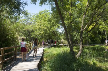 Sibenik, Hırvatistan, 2018-06-02, Milli Park Krka, güzel göl güneşli gün. Güzel doğa ve manzara, popüler turistik