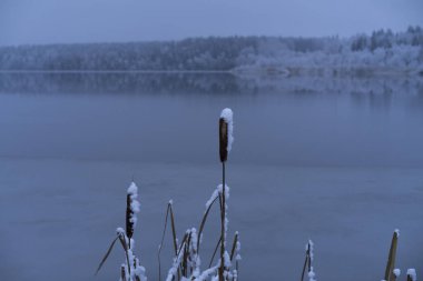Güzel doğa ve manzara fotoğraf mavi akşam Katrineholm İsveç İskandinavya. Orman ve göl kar ve buz ile.