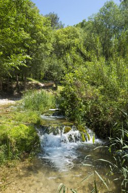 Milli Park Krka Hırvatistan Avrupa. Güzel güneşli yaz gün. 