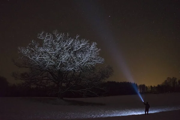 Adam açık havada ağaç arka sokakta el feneri ile parlayan geceleri ayakta. Güzel koyu karlı kış gecesi.