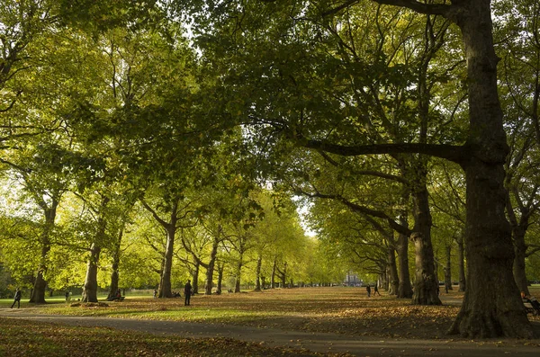 Green Park London Great Britain — Stock Photo, Image