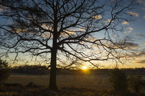 Krásná Příroda Krajina Fotografie Západu Slunce Švédsko Katrineholm Hezké Venkovní — Stock fotografie