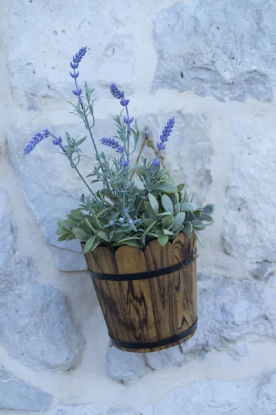 Des Plantes Lavande Dans Pot Bois Sur Fond Mur Blanc — Photo