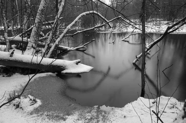 Bella Natura Paesaggio Foto Lago Alberi Invernali Svedesi — Foto Stock