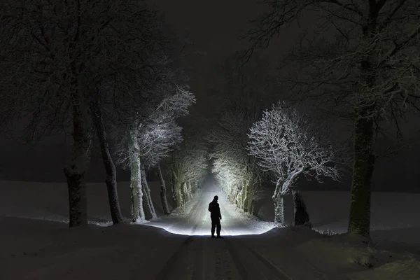 夜懐中電灯で輝いているツリー路地で屋外に立っている男性 雪に覆われた冬の美しい暗い夜 — ストック写真