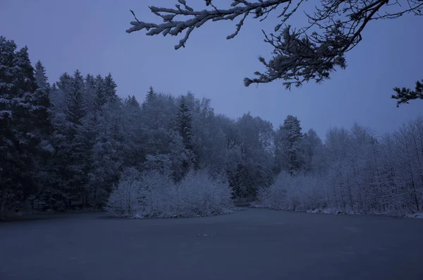 Güzel doğa ve manzara fotoğraf mavi akşam Katrineholm İsveç İskandinavya. Orman ve göl kar ve buz ile.