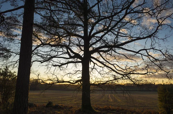 Mooie Natuur Landschap Foto Van Zonsondergang Katrineholm Zweden Mooi Buiten — Stockfoto