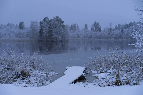 Beautiful nature and landscape photo of blue dusk evening in Katrineholm Sweden Scandinavia. Forest and lake with snow and ice.