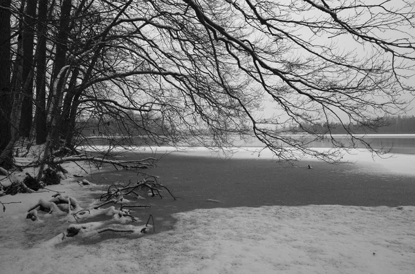 Schöne Natur Und Landschaft Foto Von Schwedischen Winter See Und — Stockfoto