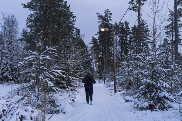 Açık havada kış İsveç ormanda yürüyen adam