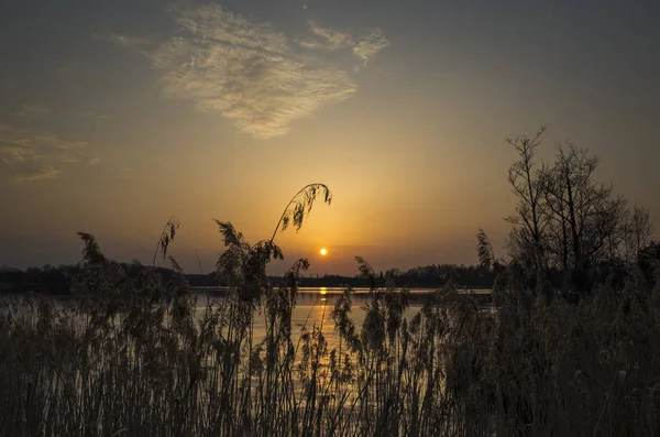 Bahar akşam İsveç İskandinavya Avrupa'nın renkli günbatımı güzel doğa ve manzara fotoğraf. Göl, ağaçlar ve gökyüzü güzel açık havada resim. Sakin, huzurlu arka plan resmi.