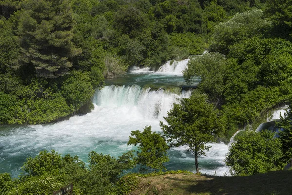Milli Park Krka Hırvatistan Avrupa. Güzel güneşli yaz günü. Güzel açık havada doğa ve manzara fotoğrafı. Göller, nehirler ve şelaleler