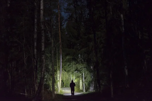 Чоловік Стоїть Відкритому Повітрі Вночі Деревній Алеї Сяє Ліхтариком Прекрасна — стокове фото
