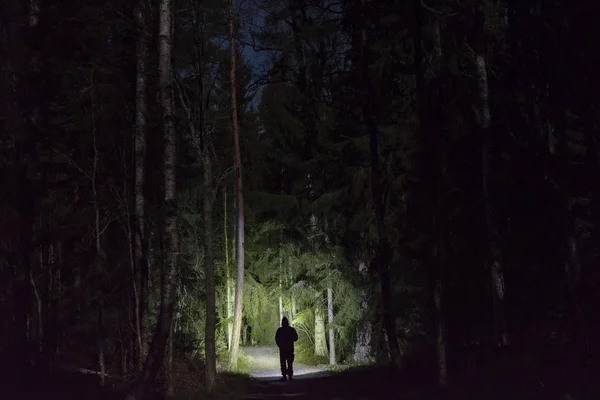 Hombre Parado Aire Libre Por Noche Callejón Los Árboles Brillando —  Fotos de Stock